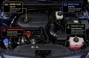 How To Check Car Fluids